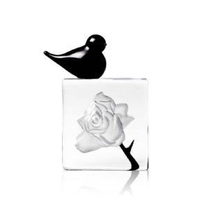 Blackbird