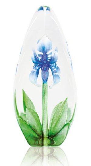 Blue Lily -  Medium Glass Etching by Mats Jonasson-MJ 33814