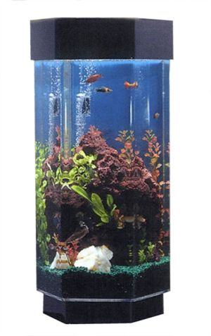 Tall Hexagon Tabletop Tower Aquarium MWT TT1500