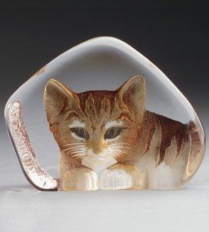 Cat- -- MJ 33868-Brown, Large no box sale save $80
