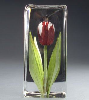 Mats Jonasson Tulip, Red, Large - MJ 33874