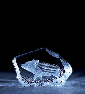 Baby Boar - Glass Etching by Mats Jonasson-MJ 33912