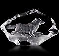 Mats Jonasson Wildlife Wolf Running
