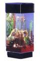 Hexagon Tabletop Tower Aquarium MWT TT800