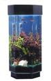 Tall Hexagon Tabletop Tower Aquarium MWT TT1500