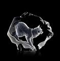 Mats Jonasson Wildlife Lynx