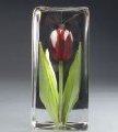 Mats Jonasson Tulip, Red, Large - MJ 33874