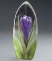 Purple Crocus  - Glass Etching by Mats Jonasson-MJ 33876