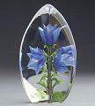 Blue Harebell  - Glass Flower Etching by Mats Jonasson-MJ 33878
