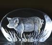 Pig-Etched Glass by Mats Jonasson - MJ 33923