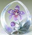 Mats Jonasson Purple Orchid - Etched Glass - MJ 33921SP
