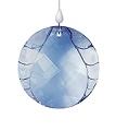 2009 SCS  Water Ornament - SALE