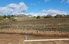 110 Crest Drive, Watsonville, CA - Thumbnail Image #8