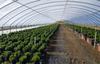 110 Crest Drive, Watsonville, CA - Thumbnail Image #10