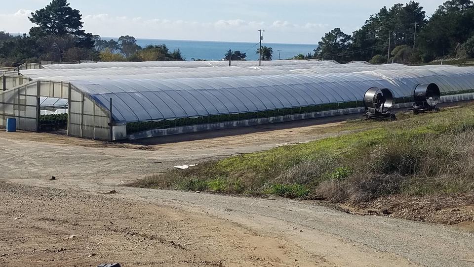110 Crest Drive, Watsonville, CA - Image #7