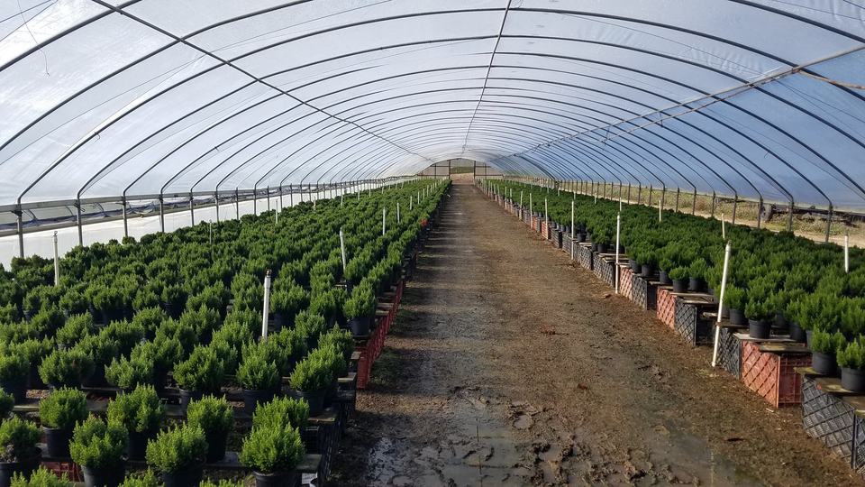 110 Crest Drive, Watsonville, CA - Image #10