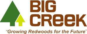 Logo for Big Creek Lumber Company