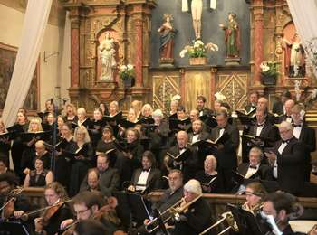 Mozart Tutti