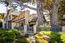 26387 Isabella Avenue - SOLD (Image 39)