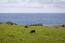 37305 Highway 1 (Image 11)