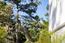 3159 Stevenson Drive (Image 6)