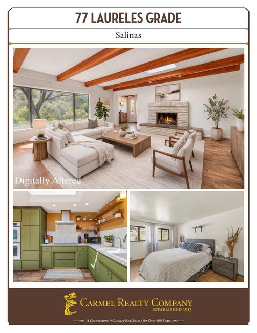 Property Flyer
