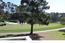 1060 San Carlos Road - SOLD (Image 3)