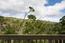16 Shepherds Knoll - SOLD (Image 14)