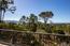 3896 Ronda Road - SOLD (Image 25)