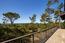 3896 Ronda Road - SOLD (Image 30)