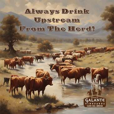 Image about Galante Family Winery