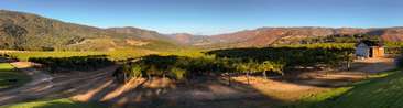 Image about Galante Family Winery