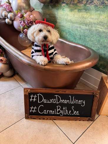 Image about Dawn's Dream Winery