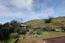 3167 Ninole Drive - SOLD (Image 5)
