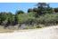 25575 Via Malpaseo - SOLD (Image 11)