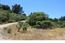 25575 Via Malpaseo - SOLD (Image 12)