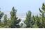25575 Via Malpaseo - SOLD (Image 14)