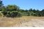 25575 Via Malpaseo - SOLD (Image 5)
