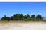 25575 Via Malpaseo - SOLD (Image 7)