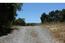 8200 Carina - SOLD (Image 5)