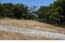8200 Carina - SOLD (Image 9)
