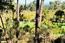 2901 Bird Rock Road - SOLD (Image 2)