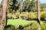 2901 Bird Rock Road - SOLD (Image 3)