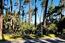 2901 Bird Rock Road - SOLD (Image 4)