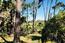 2901 Bird Rock Road - SOLD (Image 5)
