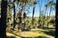 2901 Bird Rock Road - SOLD (Image 7)