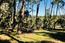 2901 Bird Rock Road - SOLD (Image 8)