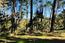 2901 Bird Rock Road - SOLD (Image 9)