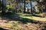 2901 Bird Rock Road - SOLD (Image 10)