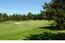 2813 Sloat Road - SOLD (Image 2)